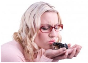 Stop kissing frogs – 5 key questions every marketer should ask an agency